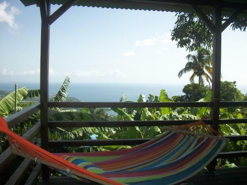 Mango Tree Lodge