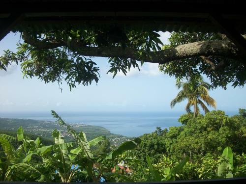 Mango Tree Lodge
