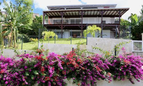 Apartamentos Caribbean Sea