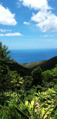 Apartamento C�t� Cara�bes