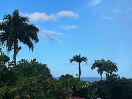 Lodge R�ve Et Aliz�