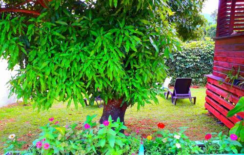Les Gites Orchidays