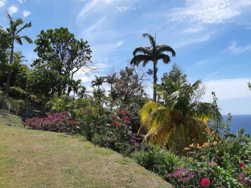 Bed & Breakfast Domaine Choco Vanille
