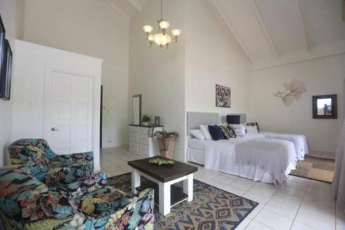 Ocean View Luxury Villa Mansion. Sleeps 22