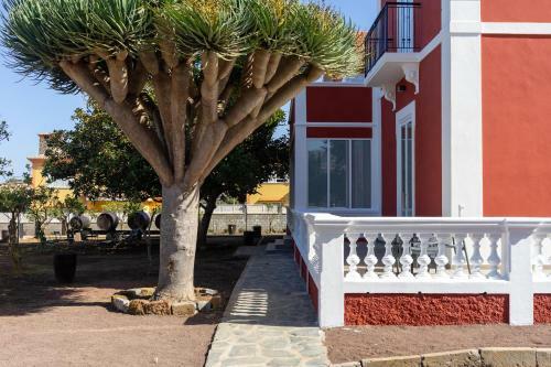 Apartamento Albor Suites