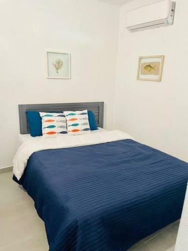 Villa Dos Aguas Ocean Front Greek Beach House