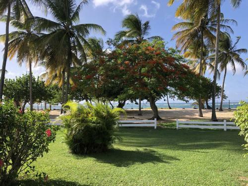 Apartamento Beautiful Ground Floor, Seaside Studio Flat