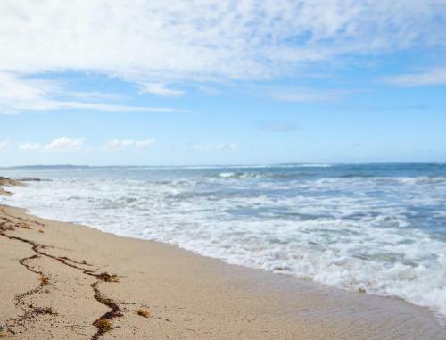 Apartamento Agr�able Studio Face � La Plage :)