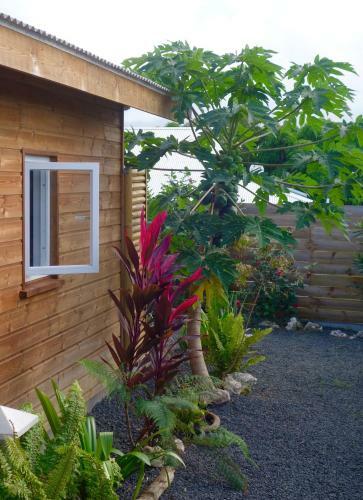 Hostal The Bluebamboo