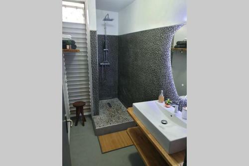 Apartamento Jadessie ( Centre Ville /downtown )