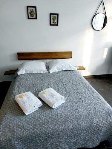 Apartamento Charmant Pied-�-terre Au C?ur de Pointe-�-pitre