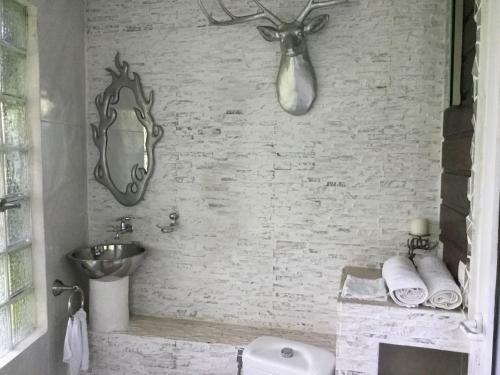 Hostal Racoon Lodge