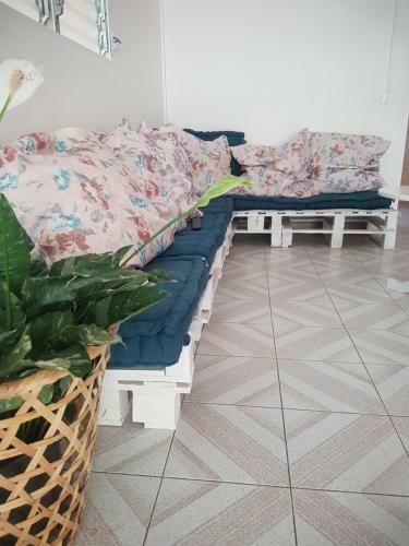 Albergue Auberge Kanne-�-sukre