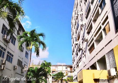 Apartamento Le Rep�re Du Lion : Appartement de Standing