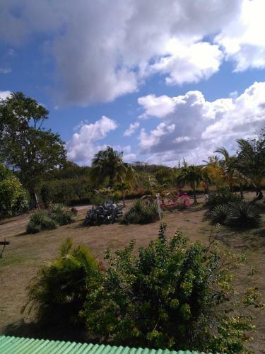 Villa Orchid�a