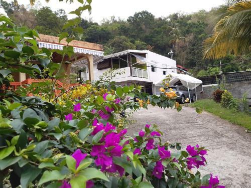 Logement La Poulette