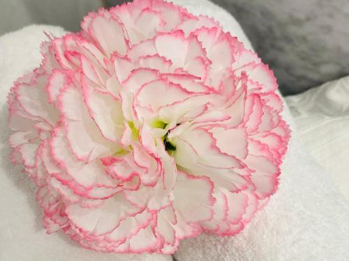 Apartamento R�sidence de La Baie 2 - Bleu Soleil Tartane