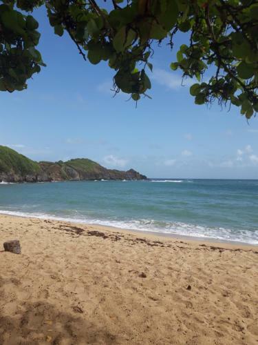 Apartamento R�sidence de La Baie Tartane Studio Tourterelle