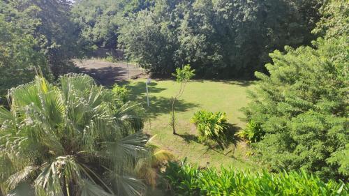Apartamento Le Cocotier Des Aliz�s