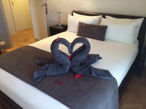 Hostal Zebras Guest House Geraldton