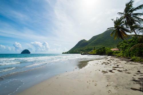 Villa Les Amandiers 8 Chambres Face � La Mer!