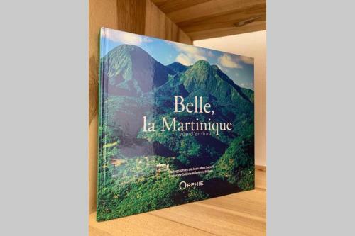 Villa Bel'vue, Ambiance Et Style Tropic Chic