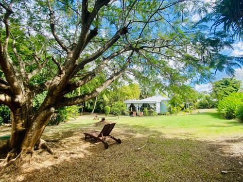 Splendide Bungalow En Bois Avec Jacuzzi Dans Un Parc Tropical