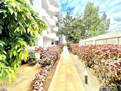 Apartamento Studio 10 Minutes Walk From Los Cristianos Beach