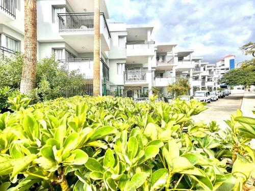 Apartamento Studio 10 Minutes Walk From Los Cristianos Beach