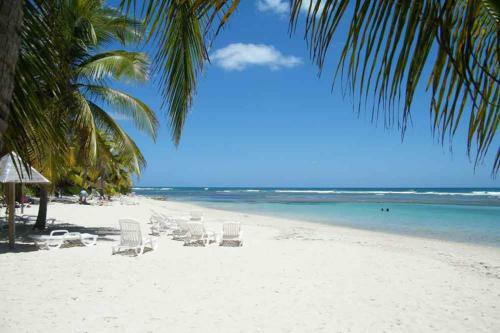 Apartamento Cosy Tamarins 1 � Quelques Pas Du Lagon