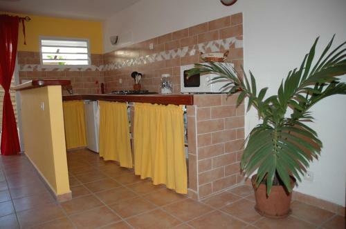 Apartamento La Pause Tropicale � Sainte-anne