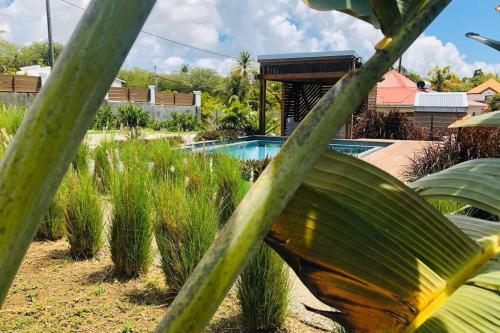 Apartamento K�z Corail