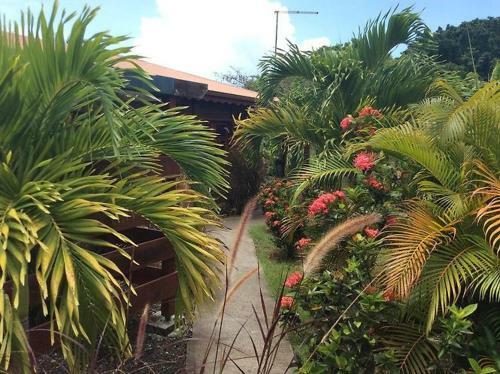 Bungalow Tropical