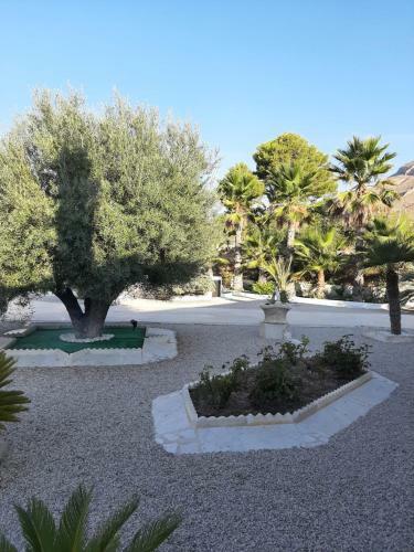 Bed & Breakfast La Dolce Vita