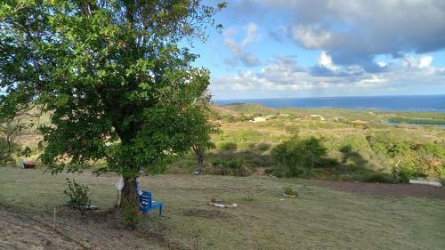 Martiniquesafarilodge