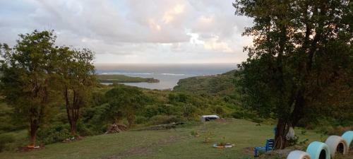 Martiniquesafarilodge