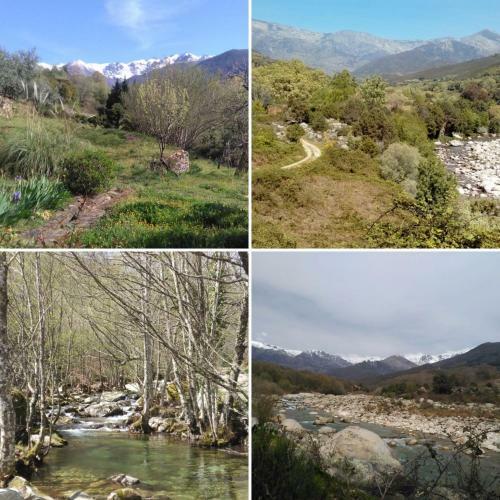 Casa Rural: La Casa M�gica de Gredos