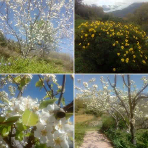 Casa Rural: La Casa M�gica de Gredos