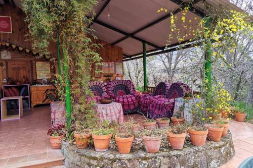 Casa Rural: La Casa M�gica de Gredos