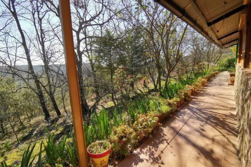 Casa Rural: La Casa M�gica de Gredos