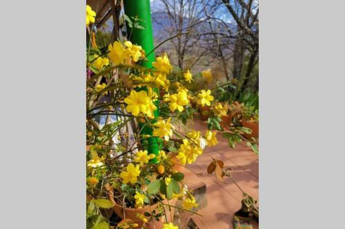 Casa Rural: La Casa M�gica de Gredos