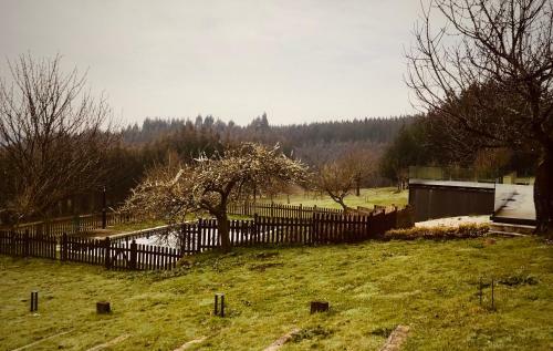 Casa Lugar De Pascuais