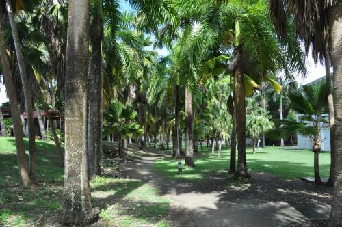 Apartamento Studio Anse-des-rochers