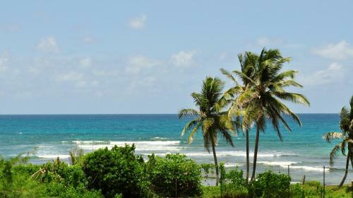 Apartamento Studio Anse-des-rochers