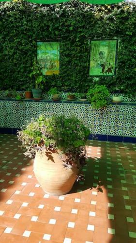 Apartamento Sevilla A Tus Pies