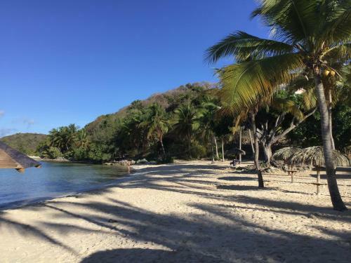 Apartamento Appartement Vue Mer Anse Des Rochers