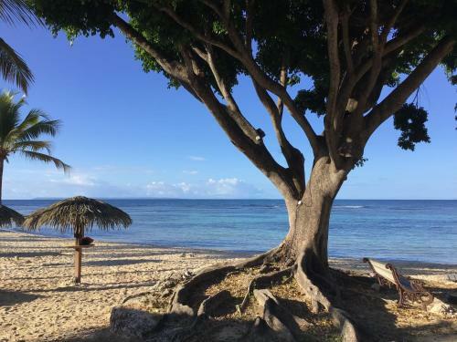 Apartamento Appartement Vue Mer Anse Des Rochers
