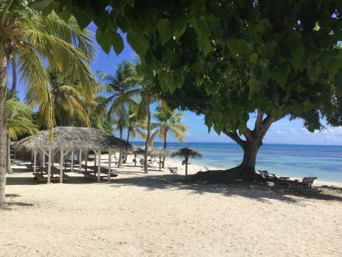 Apartamento Appartement Vue Mer Anse Des Rochers