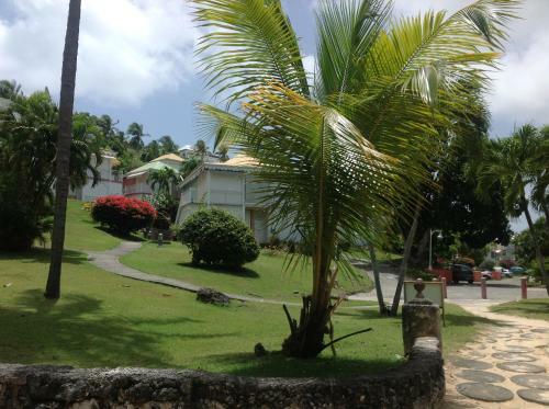 Apartamento Appartement Vue Mer Anse Des Rochers