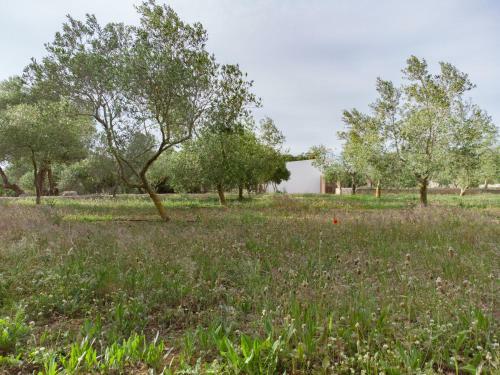 Agroturismo Malbuger Nou Menorca -adults Only-